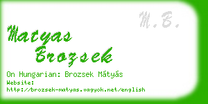 matyas brozsek business card
